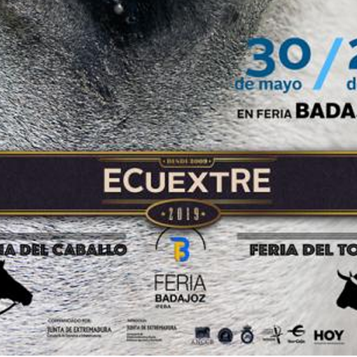 Ecuextre - Feria del Caballo y el Toro - Badajoz